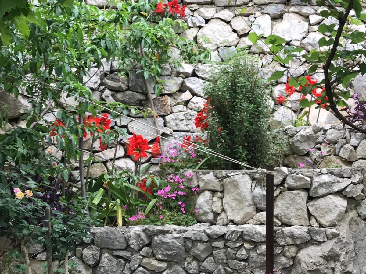 Apartament Victoria Omiš